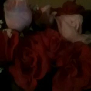 Meet your Posher, Sherri